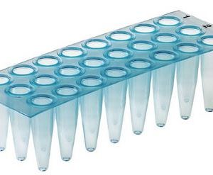 T323 - AMPLATE™ Thin wall PCR plates (non-skirted)