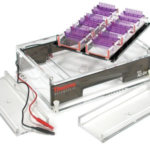 Owl A-Series Horizontal Gel Systems