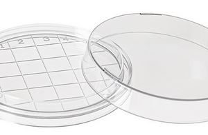 D210-17 – Contact plate