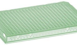 T323-384SK - AMPLATE™ 384 wells skirted PCR plates