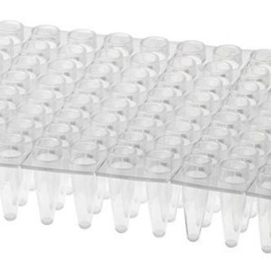 T323-100 - Amplate™ Raised rim thin wall PCR plates