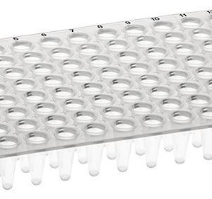 T323-96LP - Low Profile AMPLATE™ 96 well PCR plates (non-skirted)